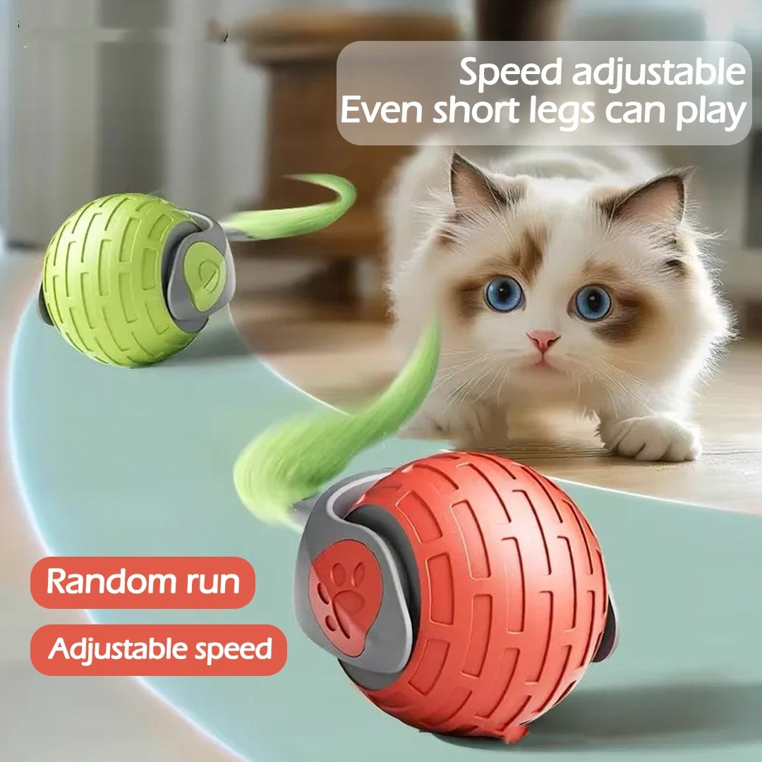 KittyRoll, Smart Automatisk Lockleksak, USB-Uppladdningsbar Kattleksak